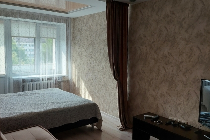 Уютная квартира в центре города с евроремонтом