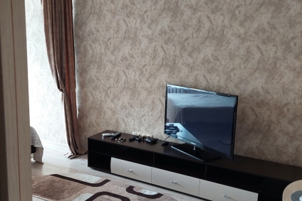 Уютная квартира в центре города с евроремонтом